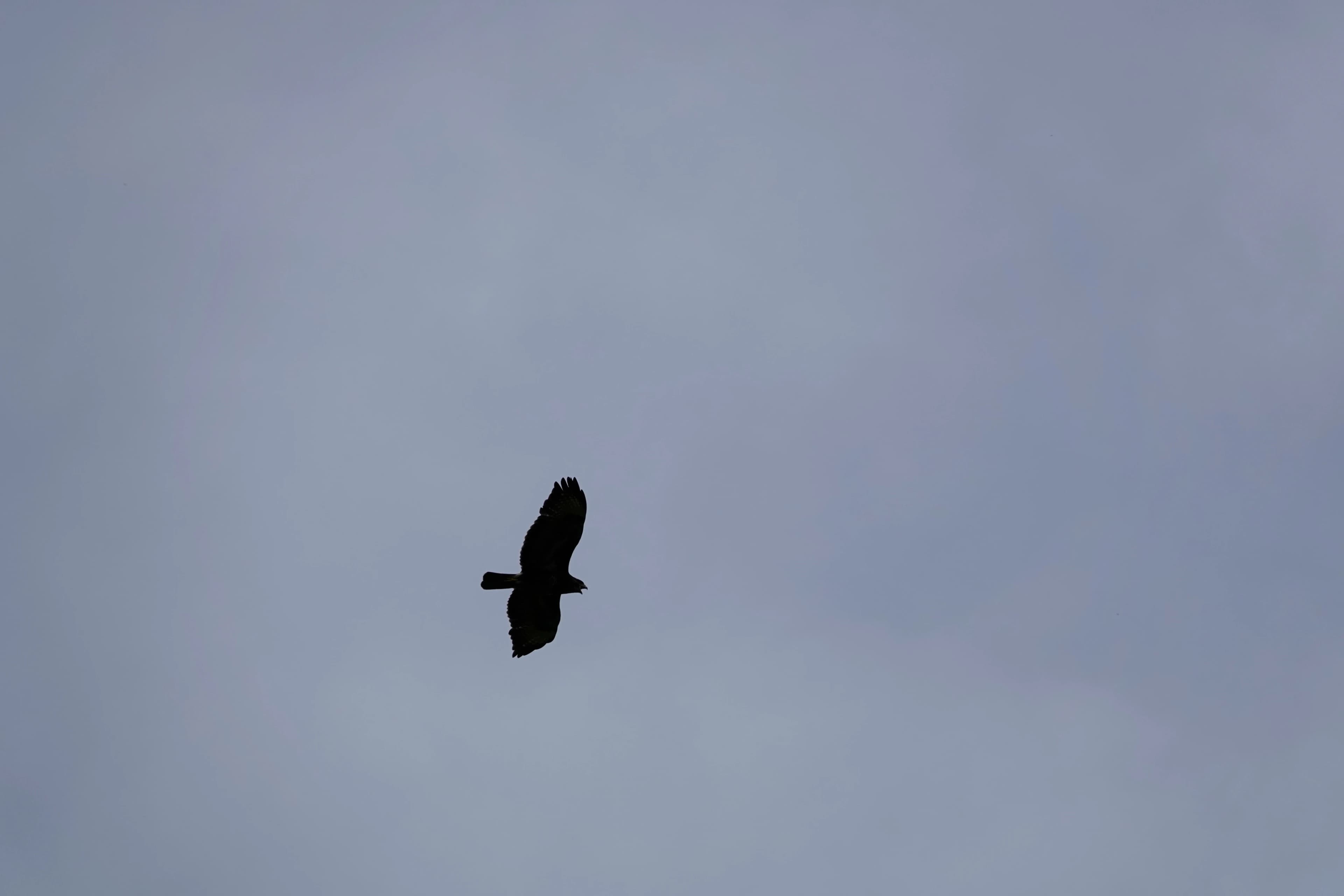 3. Multidisciplinair