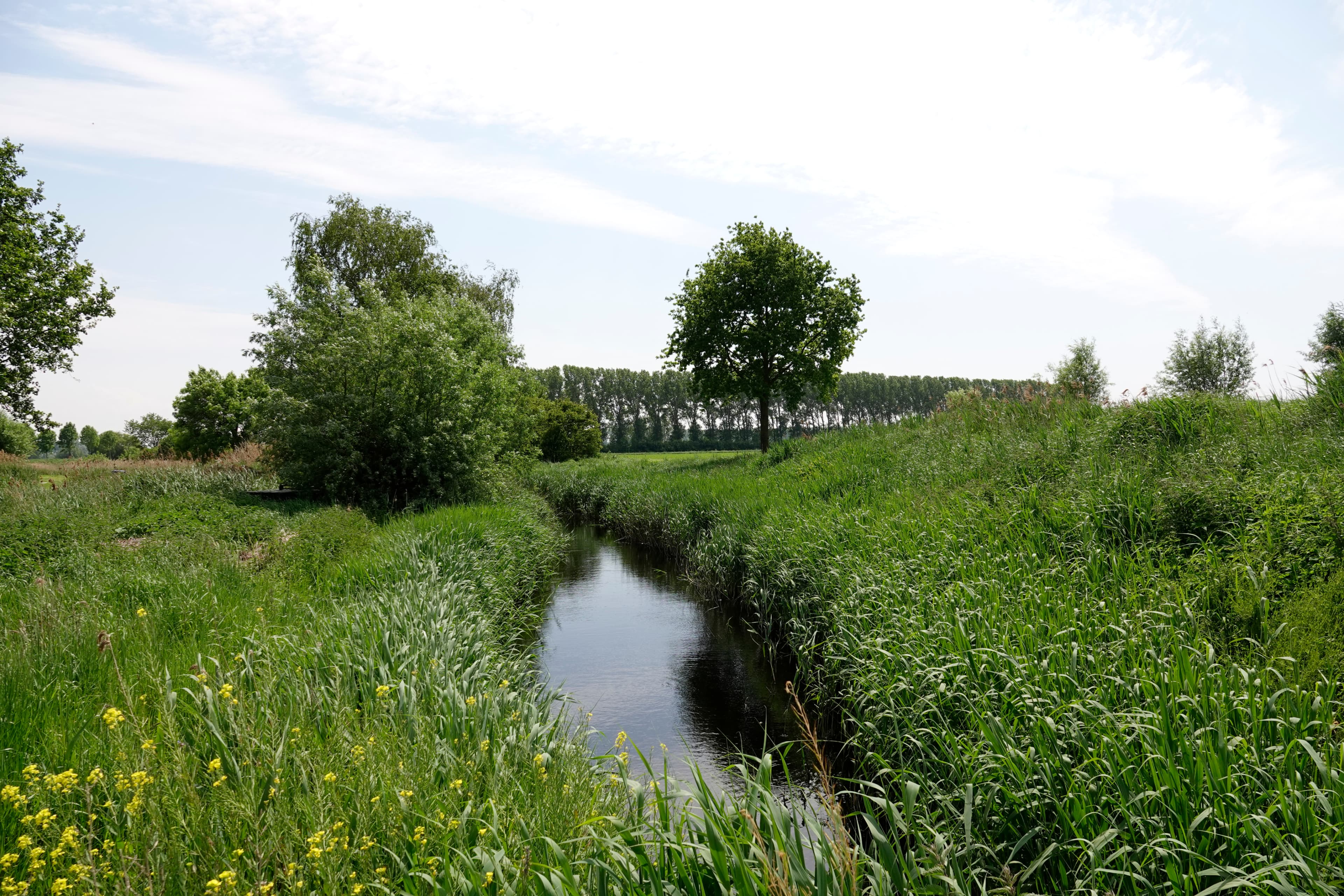 Ruimtelijke ordening