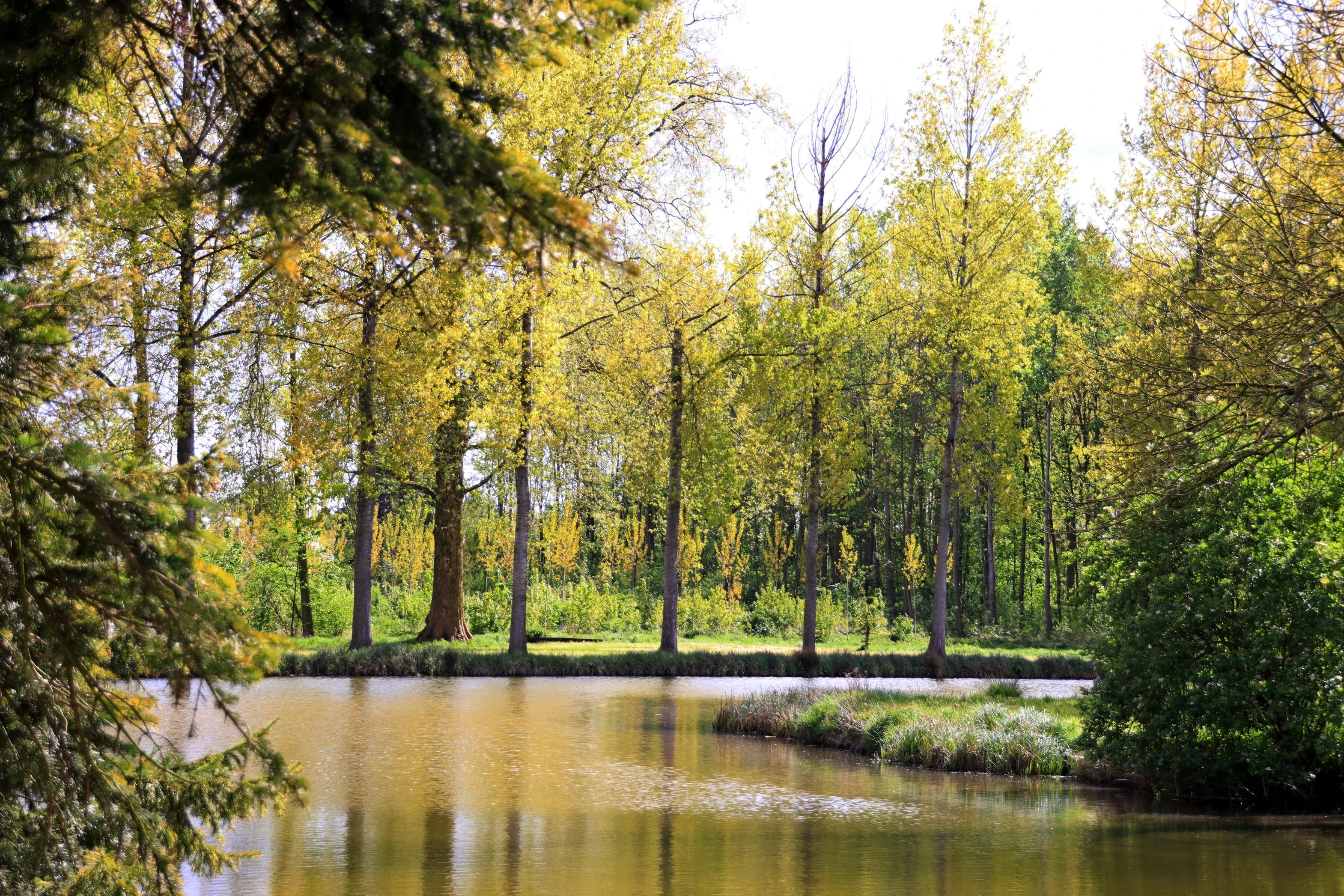 Thema milieu en klimaat